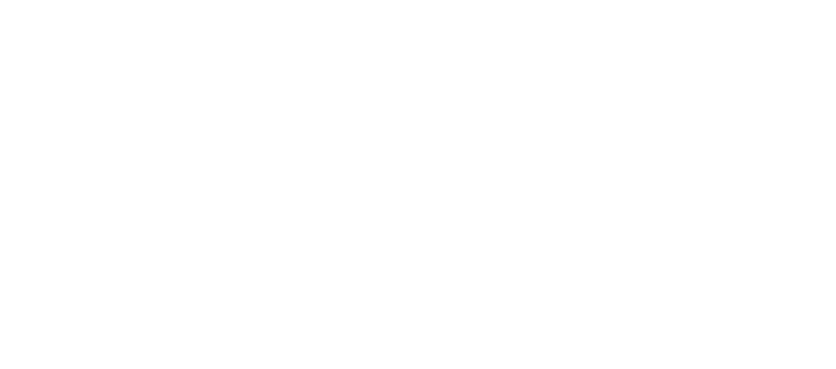 Viesu māja Spilves