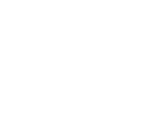 Vidusdaugavas NVO